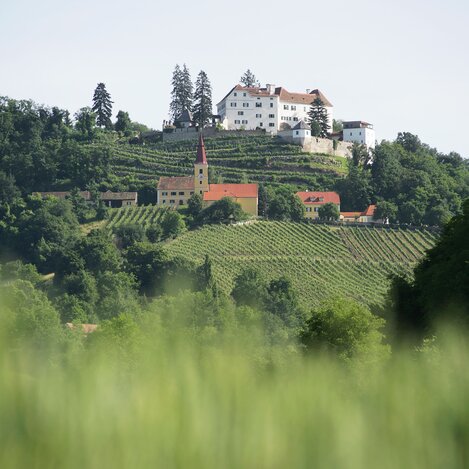Kapfenstein Castle surrounded by vines of the Winkler-Hermaden winery | © Thermen- & Vulkanland | Harald Eisenberger