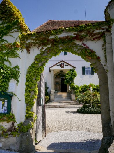 Wine cellar at Castle Kapfenstein Winery | © STG | Manfred Polansky