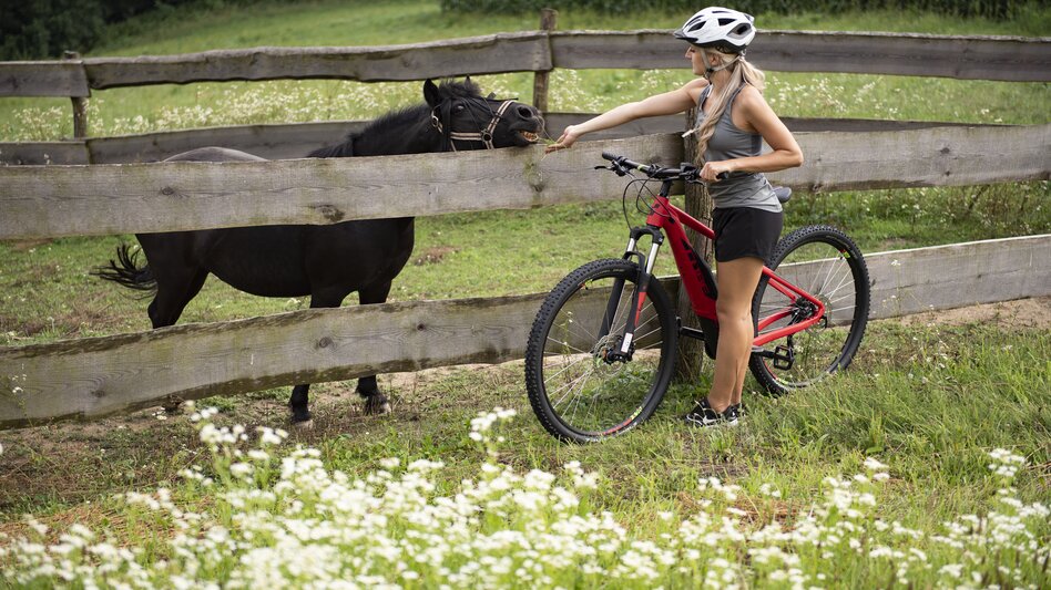 Kirchberg an der Raab - Impression #2.10 | © Tourismusverband Thermen- & Vulkanland I Bernhard Bergmann