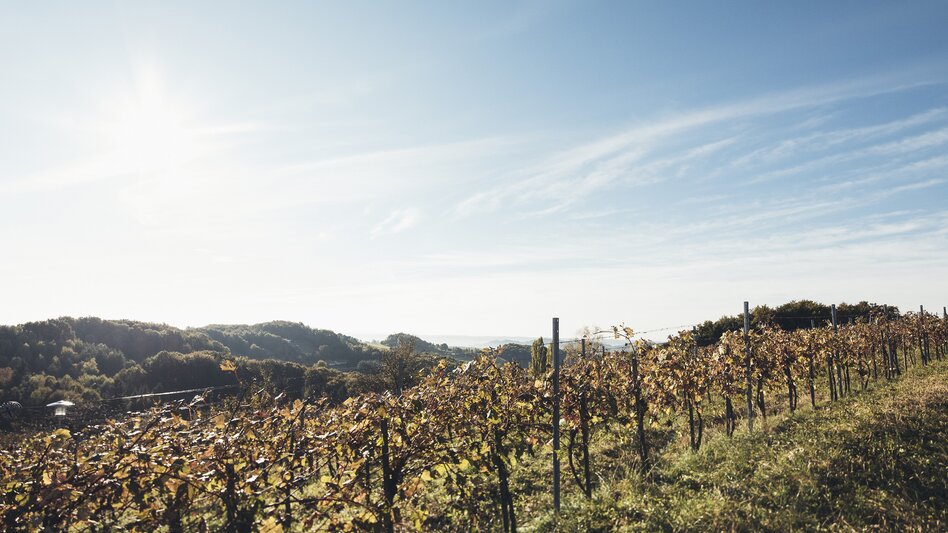 Bad Loipersdorf - Impression #2.10 | © Thermenresort Bad Loipersdorf 