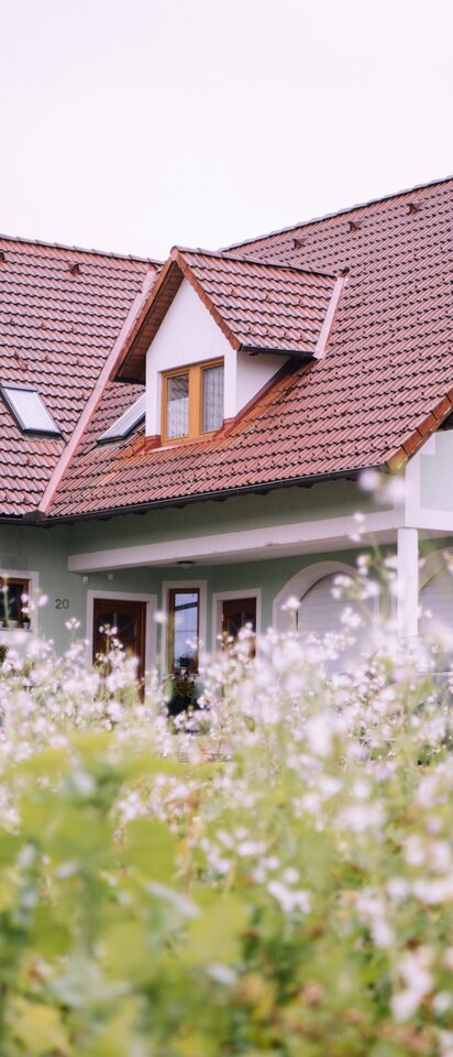 Gästehaus Panoramablick in Bad Blumau | Gästehaus Panoramablick, Patrick Nunner | © Gästehaus Panoramablick, Patrick Nunner