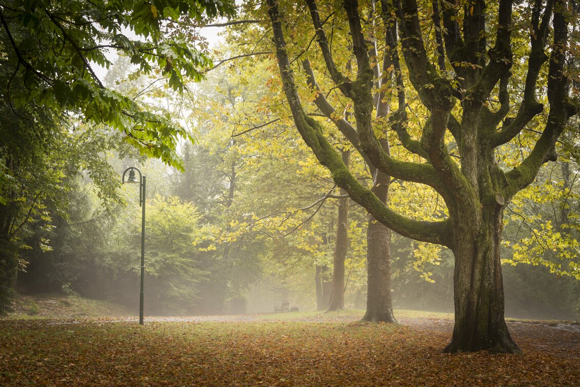 Bad Gleichenberg - Impression #1