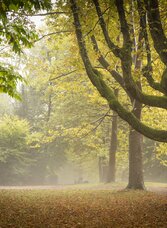 © Werner Krug, www.derkrug.at | Werner Krug,2016 www.derkrug.at