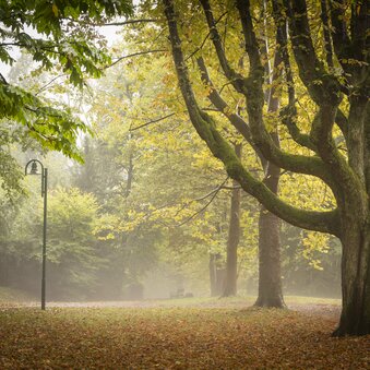 © Werner Krug, www.derkrug.at | Werner Krug,2016 www.derkrug.at