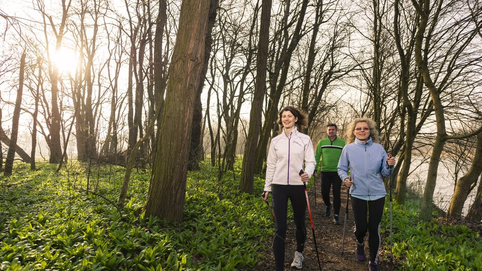 Bad Radkersburg - Impression #2.8 | © Tourismusverband Thermen- & Vulkanland | pixelmaker.at