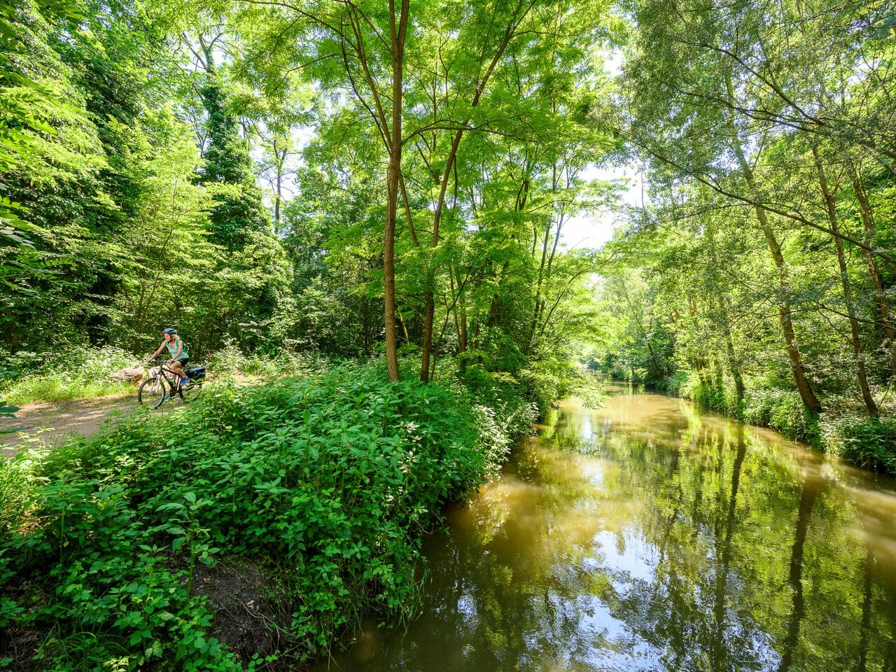 Radfahren Murauen Bad Radkersburg | © Tourismusverband Thermen- & Vulkanland | pixelmaker.at