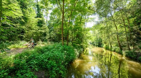 Cycling in the Murauen | © Thermen- & Vulkanland | pixelmaker.at | © Tourismusverband Thermen- & Vulkanland | pixelmaker.at