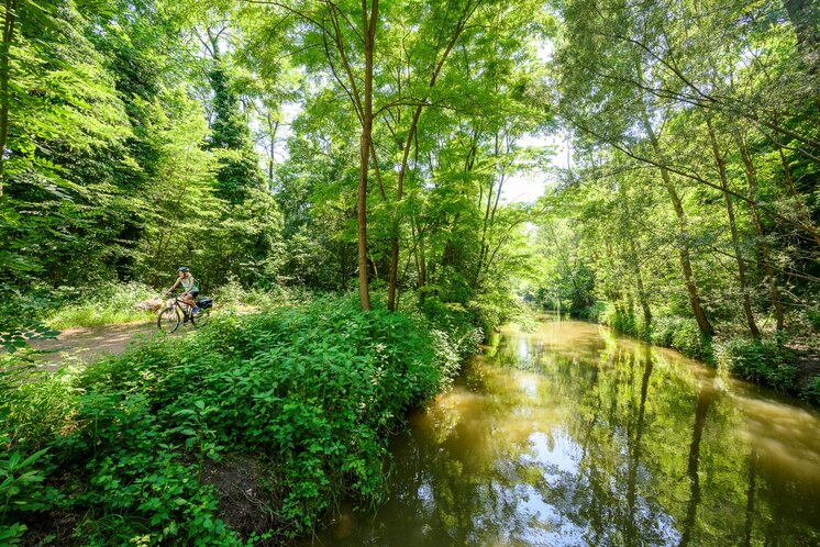 Radfahren Murauen Bad Radkersburg | © Tourismusverband Thermen- & Vulkanland | pixelmaker.at