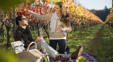 Picnic in the vineyard | © Thermen- & Vulkanland | Bernhard Bergmann | © Tourismusverband Thermen- Vulkanland, Bernhard Bergmann
