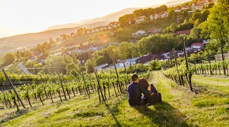 Unforgettable experiences in the wine region Thermen- & Vulkanland | © Thermen- & Vulkanland | Mias Photoart | © Tourismusverband Thermen- Vulkanland, Mia's Photoart