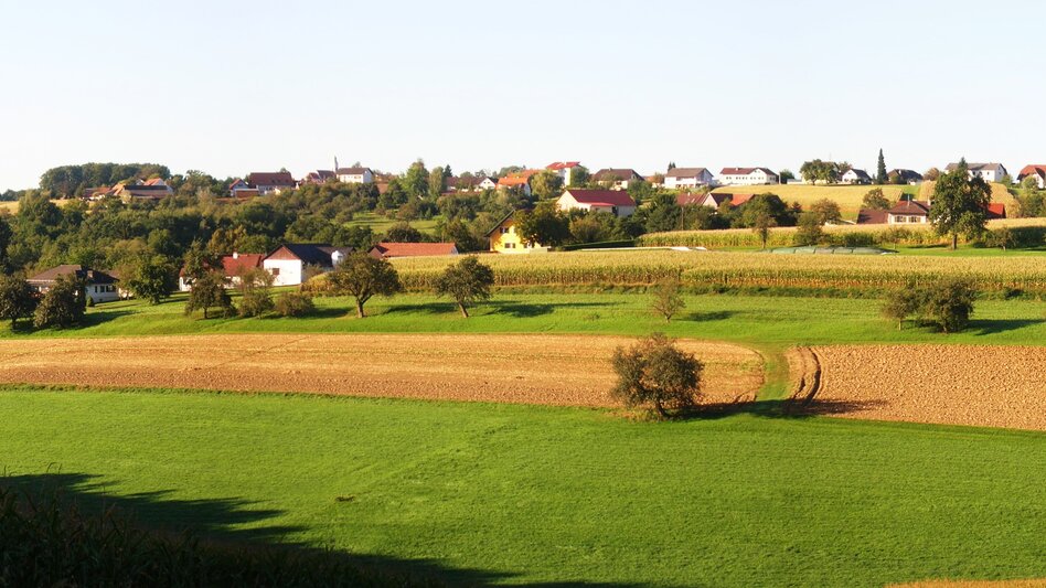 Buch - St. Magdalena - Impression #2.4 | © Gemeinde Buch St. Magdalena