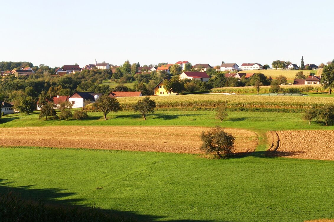 Buch - St. Magdalena - Impression #1 | © Gemeinde Buch St. Magdalena