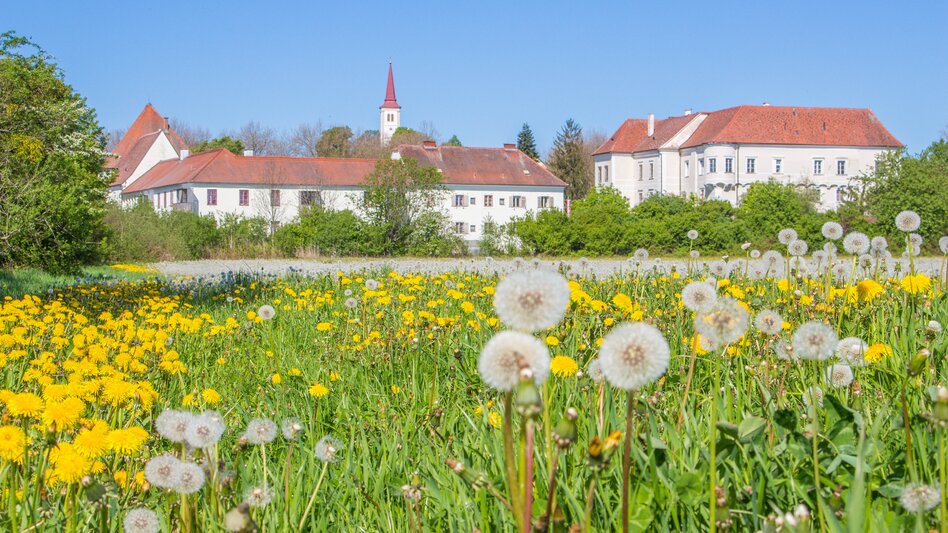 Burgau - Impression #2.7 | © Marktgemeinde Burgau, Sandra Brünner