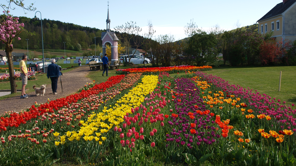 Edelsbach bei Feldbach - Impression #2.6 | © Gemeinde Edelsbach I Johannes Suppen
