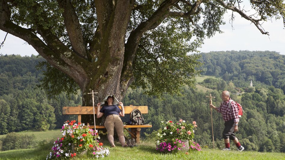 Eichkögl - Impression #2.8 | © Gemeinde Eichkögl I Thomas Brandl