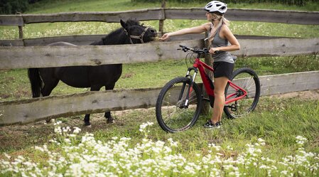 Experience and discover the region | © Thermen- & Vulkanland | Bernhard Bergmann