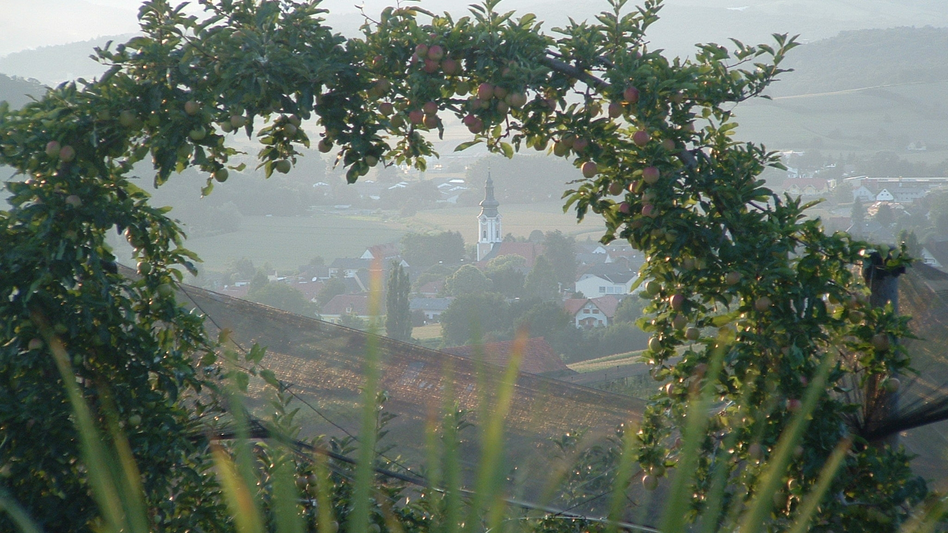 Gnas - Impression #2.4 | © Marktgemeinde Gnas