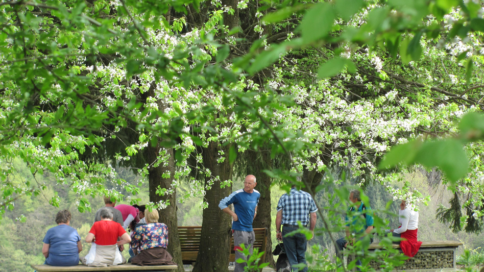 Gnas - Impression #2.6 | © Marktgemeinde Gnas