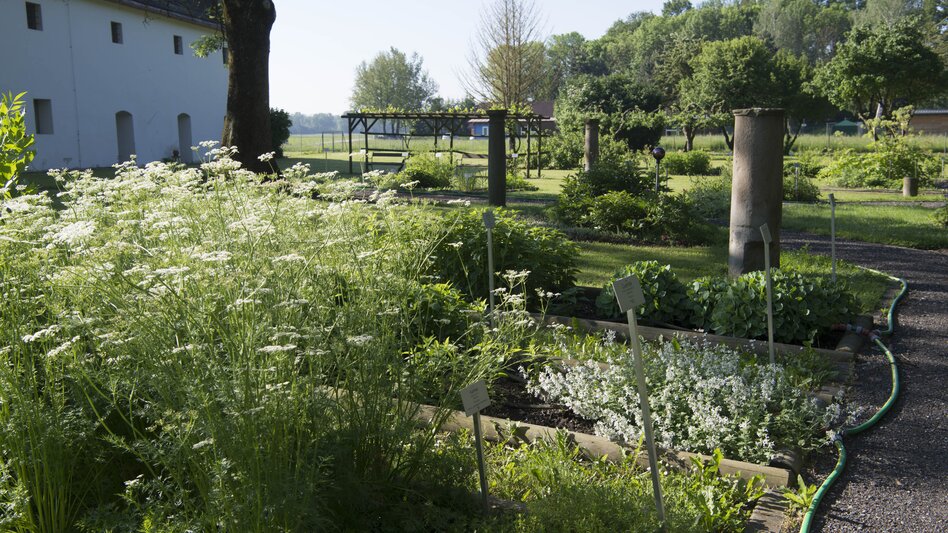 Halbenrain - Impression #2.1 | © Tourismusverband Thermen- & Vulkanland | pixelmaker.at