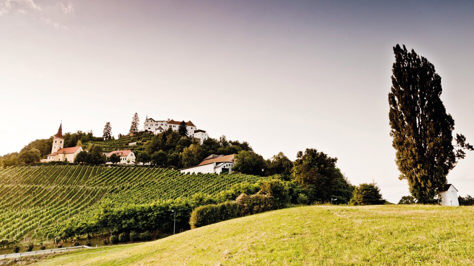 Kapfenstein - Impression #2.1