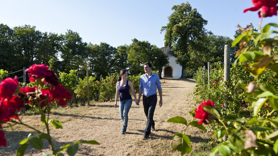 Kapfenstein - Impression #2.9