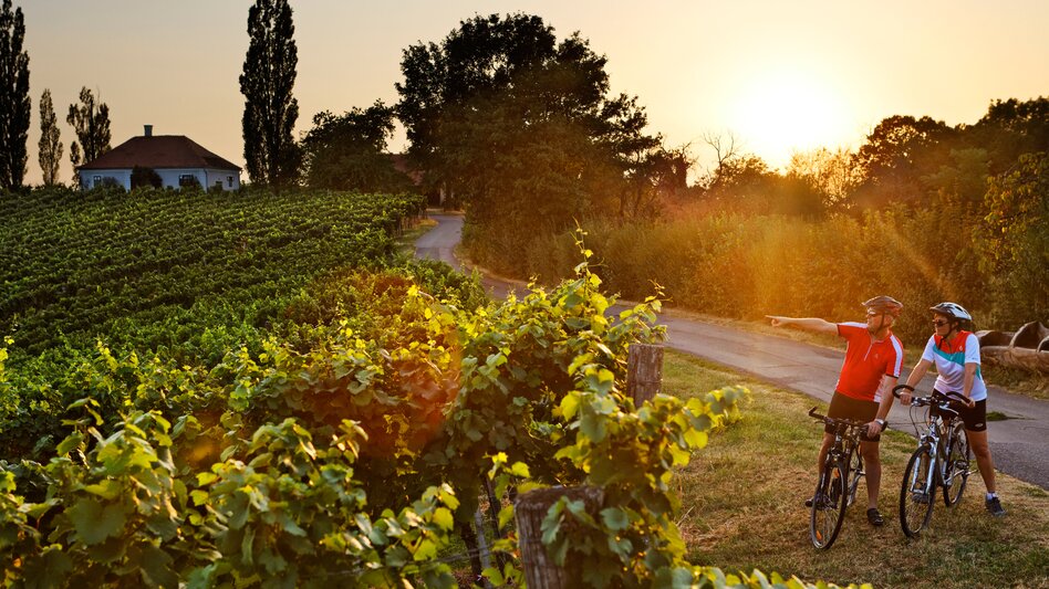 Klöch - Impression #2.1 | © Tourismusverband Thermen- & Vulkanland | Bernhard Bergmann