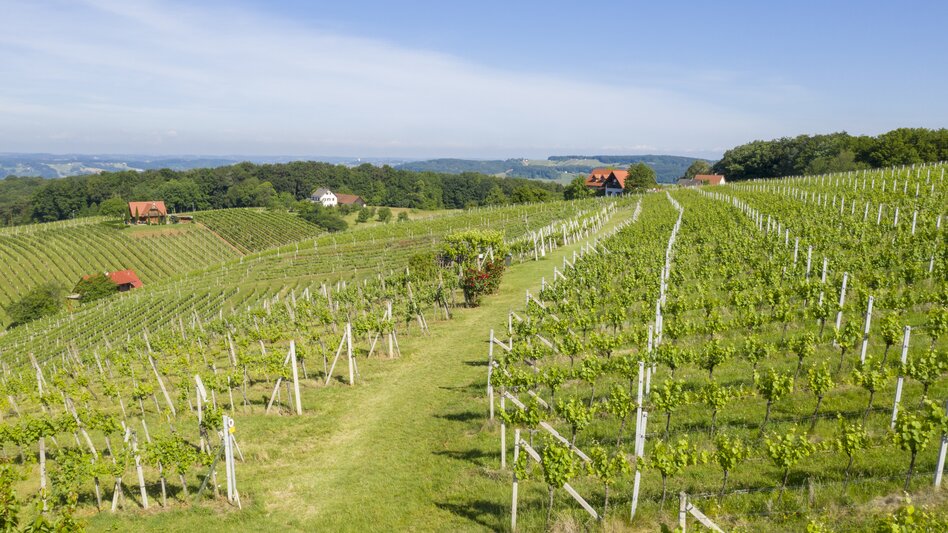 Klöch - Impression #2.10 | © Tourismusverband Thermen- & Vulkanland | pixelmaker.at