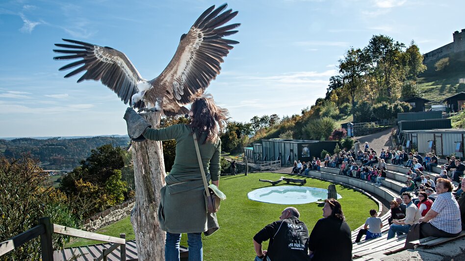 Riegersburg - Impression #2.9 | © Tourismusverband Thermen- & Vulkanland I derferder.at