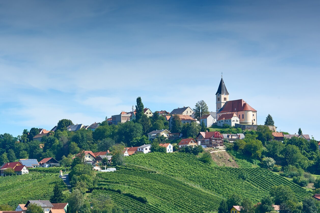 Das Panorama von St. Anna am Aigen genießen | © Thermen- & Vulkanland | Edgar Strasser