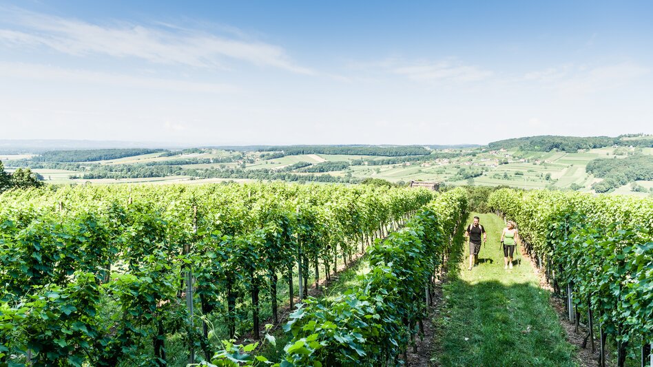 Tieschen - Impression #2.6