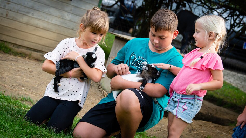 Unterlamm - Impression #2.7