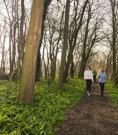 Frühlingwanderung durch Bärlauch | © Thermen- & Vulkanland | pixelmaker.at