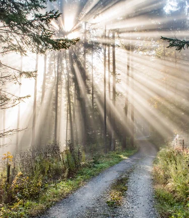 © Thermen- & Vulkanland | Ingrid Jansky