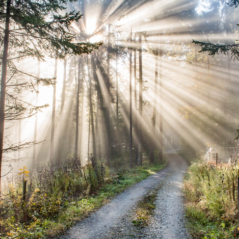 © Thermen- & Vulkanland | Ingrid Jansky