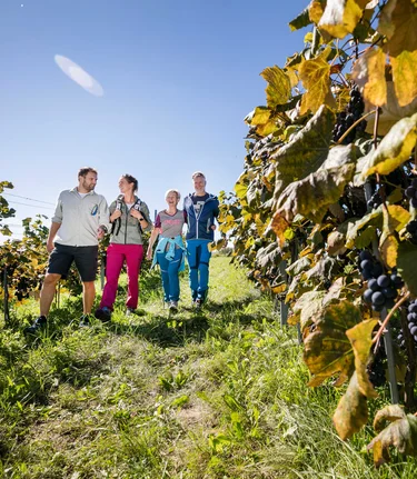 Family time in the Southeast Styria wine region | © Thermen- & Vulkanland | Harald Eisenberger