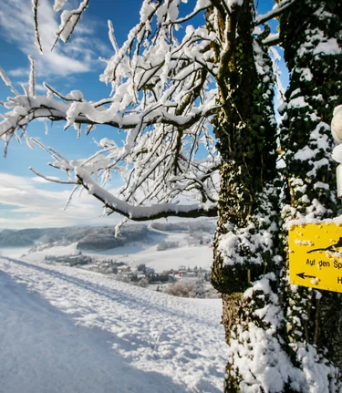 Winter Hiking on the Heart Trail in Bad Gleichenberg | © Thermen- & Vulkanland | Harald Eisenberger