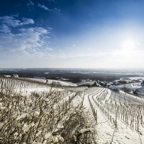 Winter landscape of the wine region Bad Radkersburg | © Thermen- & Vulkanland | pixelmaker.at