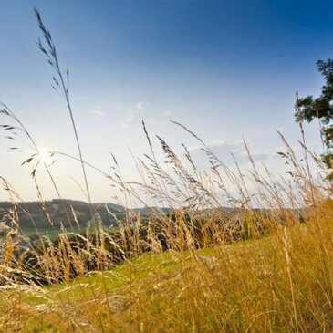 Bad Gleichenberg Kraftquellen-Tour Radfahren Thermen- und Vulkanland Steiermark | © TV Region Bad Gleichenberg, Werner Krug