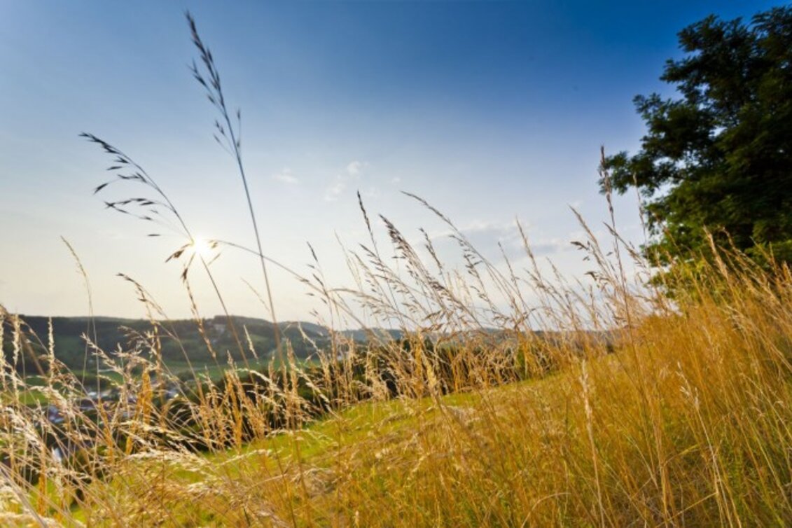 Schwung holen und Energie tanken entlang der Kraftquellen-Tour im Thermen- und Vulkanland Steiermark. | © TV Region Bad Gleichenberg, Werner Krug | © TV Region Bad Gleichenberg, Werner Krug