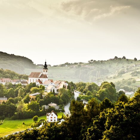 Die Rückfahrt findet nun etwas hügelig über Waldsberg und dem "Kaargebirge" statt.  | © TV Region Bad Gleichenberg, Werner Krug | Werner Krug A-8020 Graz | © TV Region Bad Gleichenberg, Werner Krug