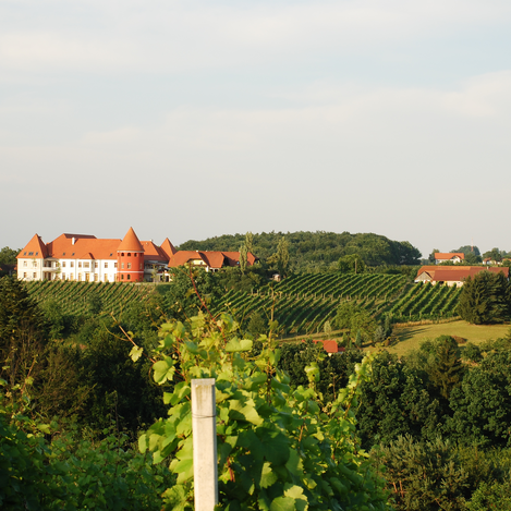 Weinschloss Thaller  | © (c) Weinschloss Thaller_Karl Schrotter Photograph | © (c) Weinschloss Thaller_Karl Schrotter Photograph