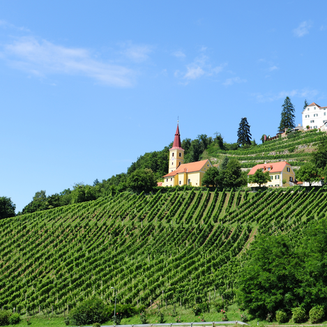 Weingut Winkler-Hermaden | © (c) Weingut Winkler-Hermaden | Gery Wolf | © (c) Weingut Winkler-Hermaden