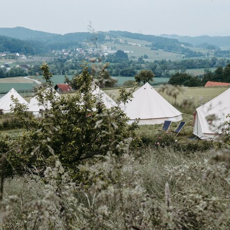 Fotogenia, Renate Trummer | © Blumenfeld Camping Glamping Hügel Blüten Natur | RENATE TRUMMER    FOTOGENIA | © Blumenfeld Camping Glamping Hügel Blüten Natur