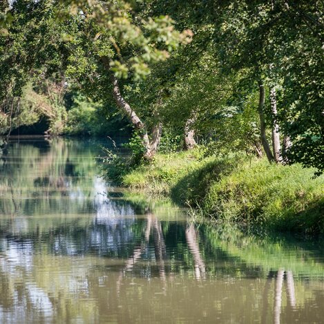Das Element Wasser steht für Beweglichkeit | © Thermen- & Vulkanland Steiermark_Harald Eisenberger | © © Thermen- & Vulkanland Steiermark_Harald Eisenberger