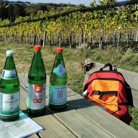 Prickelnd und belebend | © SPIRIT OF REGIONS