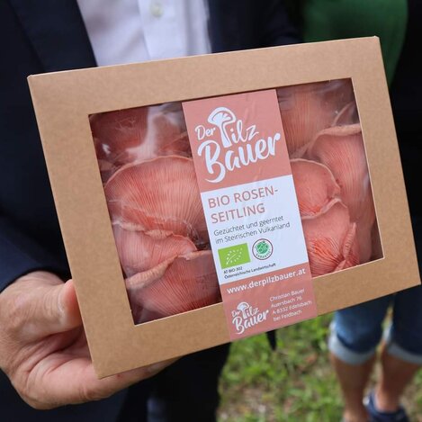 Pilze aus Auersbach bei Feldbach | Stadtgemeinde Feldbach