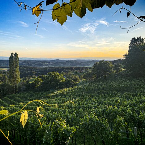 © Tourismusverband Thermen- & Vulkanland, Werner Resch