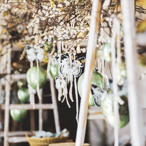 Frühlingshaftes auf Schloss Burgau | © Christian Thomaser | fotofraller.at