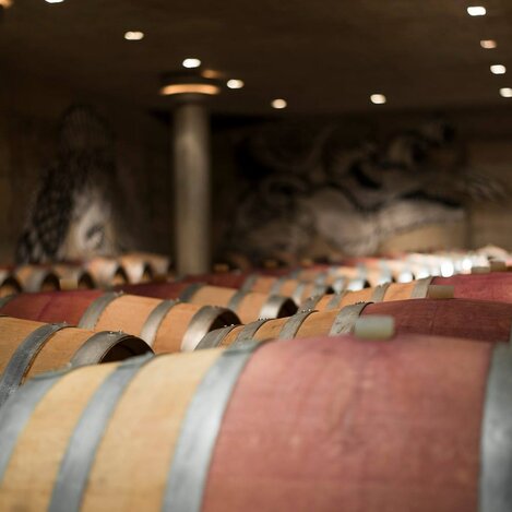 Nachts im Weinkeller | Weingut Neumeister