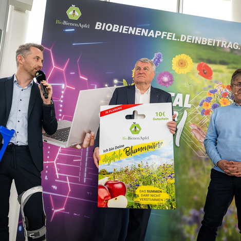 Digitale Blumenwiese | © 2023 Joerg Mitter Photography | Jörg Mitter